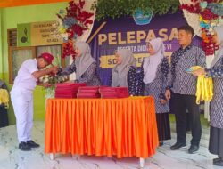 Pelepasan Siswa SD Negeri Taeng Meriah, Siswa Berprestasi Tampilkan Aksi Karate