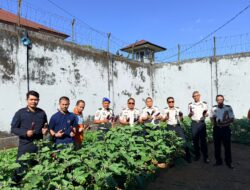 Kalapas Narkotika Sungguminasa Panen Terong Bersama WBP,  Bentuk Konsistensi Dukung Ketahanan Pangan Nasional