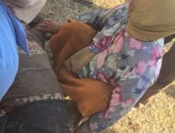 Pemulung Rumput Laut Ditemukan Tewas Mengapung di Pantai Tanrusampe Jeneponto