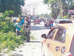 Cegah Bahaya Pohon Tumbang, Babinsa Koramil 01 Somba Opu Kodim 1409/Gowa Gelar Karya Bakti Pangkas Ranting Pohon Bersama Warga