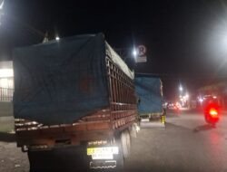 Maraknya Kendaraan Parkir di Bahu Jalan Disorot, Diduga untuk Menghindari Timbangan UPPKB Pallangga