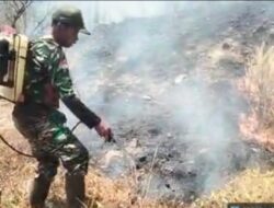Gerak Cepat Tangani Karhutla, Babinsa Kodim 1409/Gowa Selamatkan Lahan Warga Sokkolia