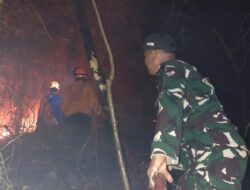 Sinergitas TNI, Damkar, dan Warga Gowa Sukses Padamkan Karhutla di Pattallasang