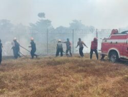 Sinergi Tim Gabungan dan Kodim 1409/Gowa Berhasil Padamkan Kebakaran 10 Hektar Lahan di Parangloe