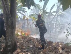 Bersama Warga dan Damkar, Babinsa Kodim 1409/Gowa Halau Api yang Lahap Kebun Warga