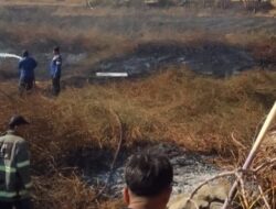 Sinergi Babinsa dan Warga Bontomarannu Berhasil Jinakkan Si Jago Merah di Lahan 1 Hektar