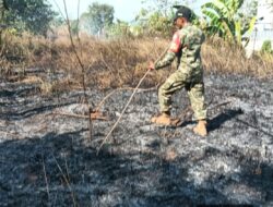 Gerak Cepat Babinsa dan Warga Padamkan Karhutla Seluas 1 Hektare di Bontomarannu