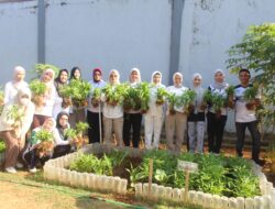 Panen Raya Sayuran, Kalapas Perempuan Sungguminasa Ajak Isi Hari Sabtu dengan Kegiatan Produktif