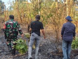 TNI-Polri dan Damkar Padamkan Kebakaran Lahan di Pattallassang Gowa