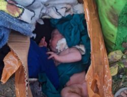 Diduga Buang Bayi Karena Malu, Seorang Bayi Perempuan Ditemukan di Gowa