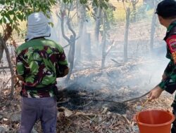 Lahan 2 Hektar di Romangloe Terbakar, Aksi Cepat Babinsa Cegah Api Meluas