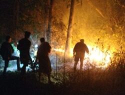 Lahan Kebun Seluas 1,5 Hektar di Gowa Hangus Terbakar, Warga dan Babinsa Sigap Padamkan Api