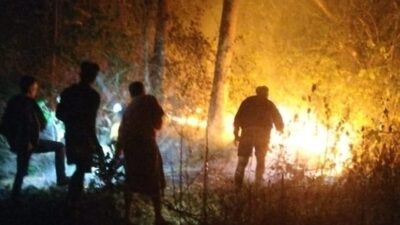 Lahan Kebun Seluas 1,5 Hektar di Gowa Hangus Terbakar, Warga dan Babinsa Sigap Padamkan Api