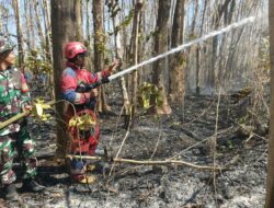 Babinsa dan Damkar Padamkan Kebakaran Lahan Seluas 1 Hektar di Gowa