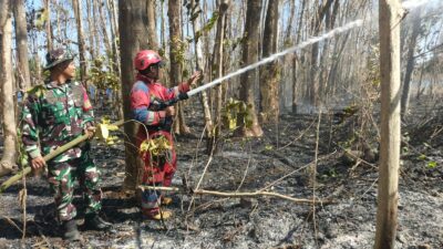 Babinsa dan Damkar Padamkan Kebakaran Lahan Seluas 1 Hektar di Gowa