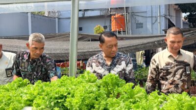 Panen Selada Hidroponik, Lapas Narkotika Sungguminasa Konsisten Dukung Ketahanan Pangan